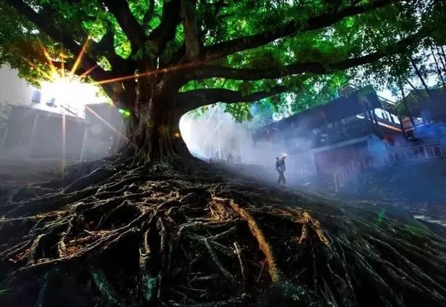 大学体操单杠动作名称_体操单双杠大学生_大学体操单杠视频