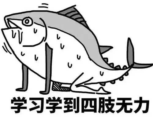高中生必备生活技能_高中学习生活技巧_高中生活技能有哪些
