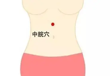 常识养生基本知识_常识养生基本原则包括_养生43个基本常识