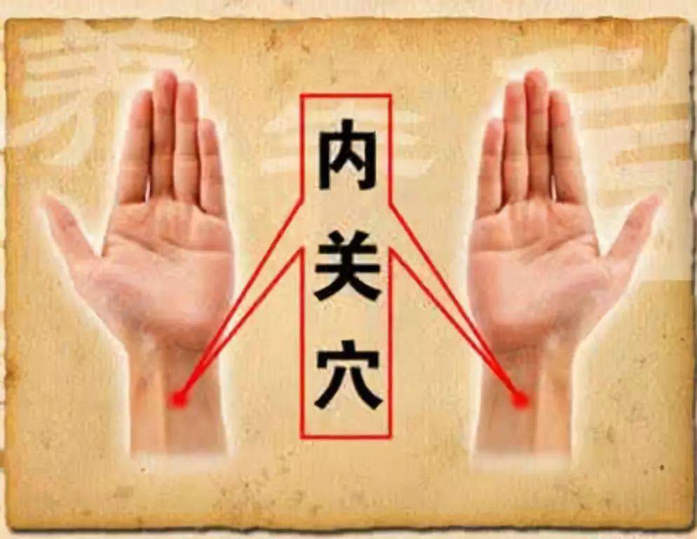 常识养生基本知识_常识养生基本原则包括_养生43个基本常识