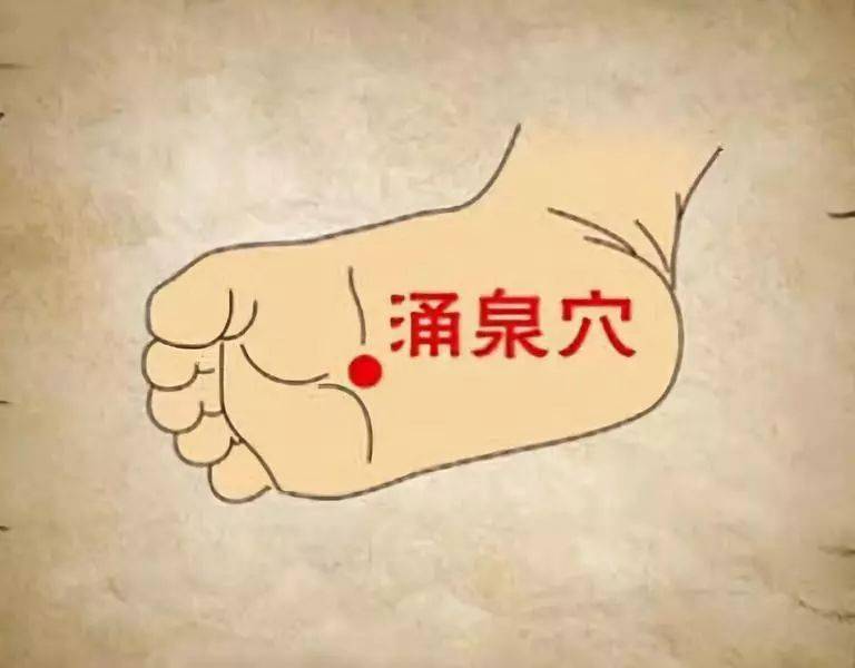 常识养生基本原则包括_常识养生基本知识_养生43个基本常识
