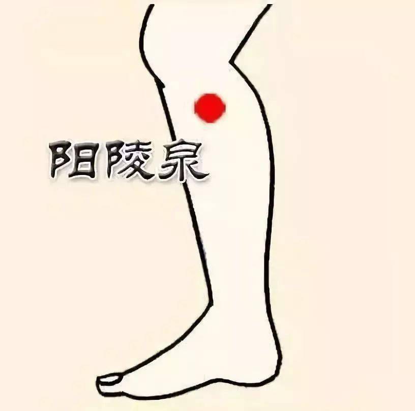常识养生基本知识_养生43个基本常识_常识养生基本原则包括