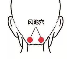 常识养生基本原则包括_常识养生基本知识_养生43个基本常识