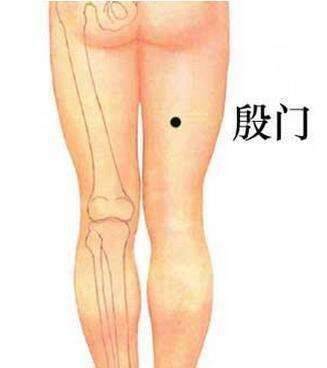 养生43个基本常识_常识养生基本原则包括_常识养生基本知识